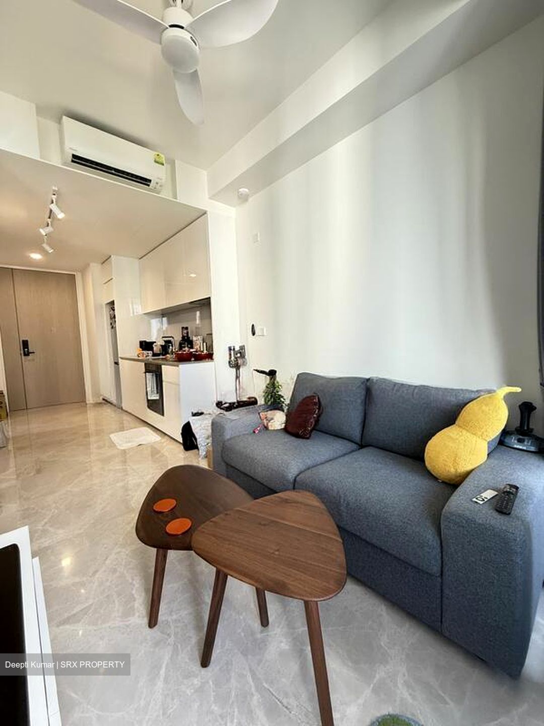 Amber Park (D15), Condominium #496152441